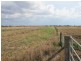 LOT 12 Murphy’s Road, Swan Creek QLD 4370