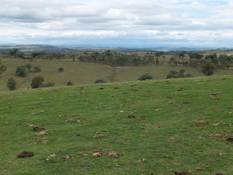 Stanthorpe QLD 4380