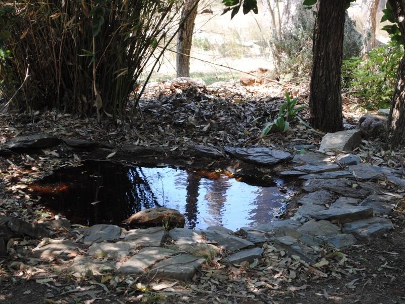 48 Craikes Road, Clintonvale QLD 4370