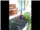 2690 Leyburn Cunningham Hwy, Pratten QLD 4370