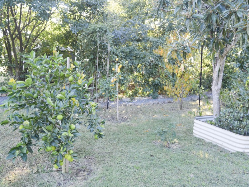 61 Lyons Street, Warwick QLD 4370