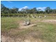 Lots 1, 2 Tummaville Road, Leyburn QLD 4365