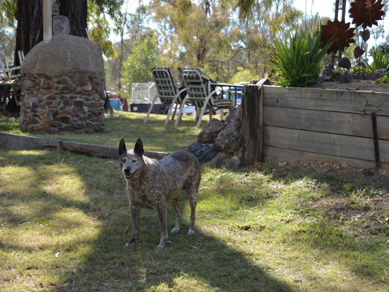 27 Sherwin Place, Cunningham QLD 4370