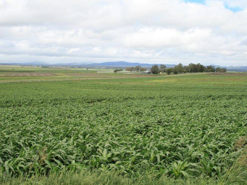 Lot 2 Warwick  Yangan Road, Warwick QLD 4370