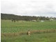Lot 2 Warwick  Yangan Road, Warwick QLD 4370