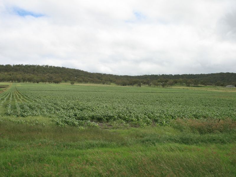 Lot 2 Warwick  Yangan Road, Warwick QLD 4370