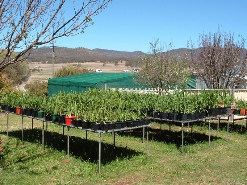Warwick QLD 4370
