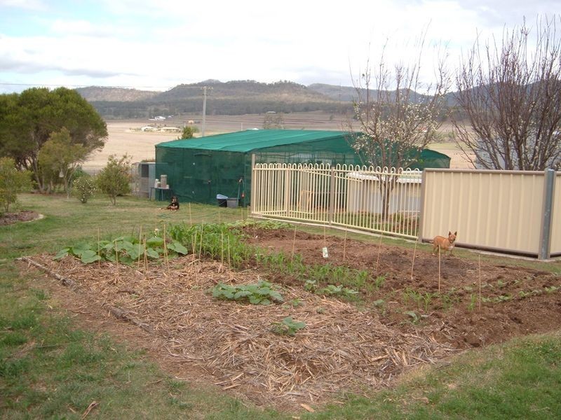 Warwick QLD 4370