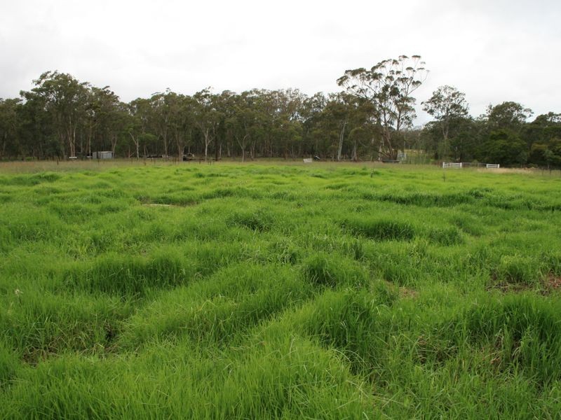 1051 Granite Belt Drive Dalveen via, Stanthorpe QLD 4380