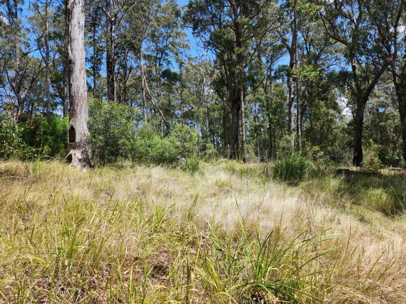 Lot 73 Gambubal Road, Mount Colliery QLD 4370