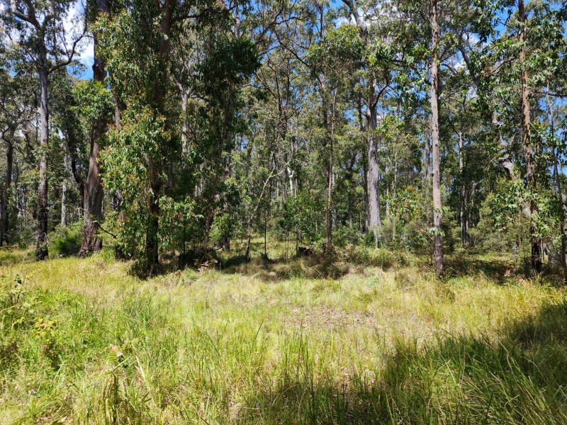 Lot 73 Gambubal Road, Mount Colliery QLD 4370