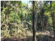 Lot 73 Gambubal Road, Mount Colliery QLD 4370
