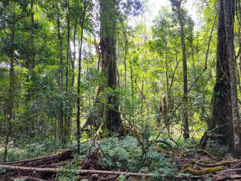 Lot 73 Gambubal Road, Mount Colliery QLD 4370