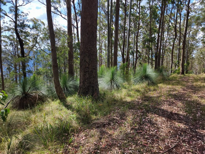 Lot 73 Gambubal Road, Mount Colliery QLD 4370