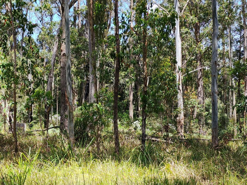 Lot 73 Gambubal Road, Mount Colliery QLD 4370