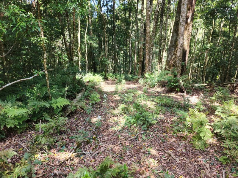 Lot 73 Gambubal Road, Mount Colliery QLD 4370