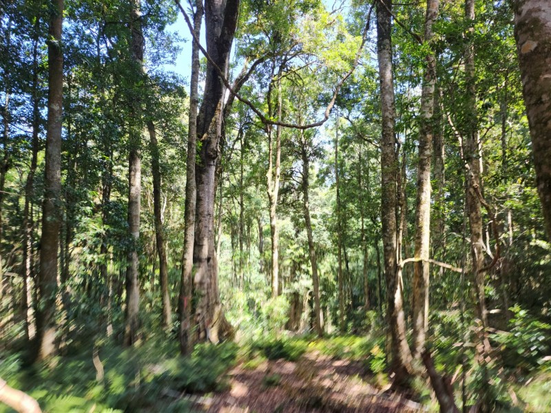 Lot 73 Gambubal Road, Mount Colliery QLD 4370