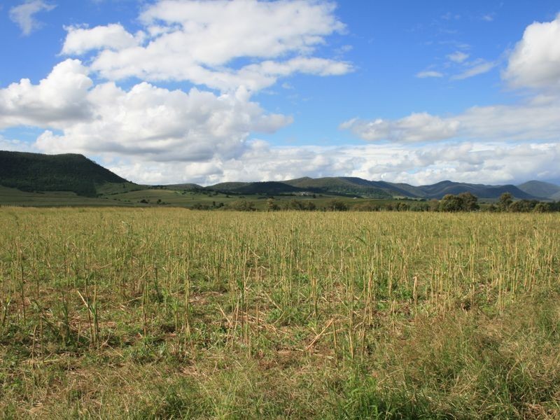 Lot 3 Yangan Road Yangan via, Warwick QLD 4370