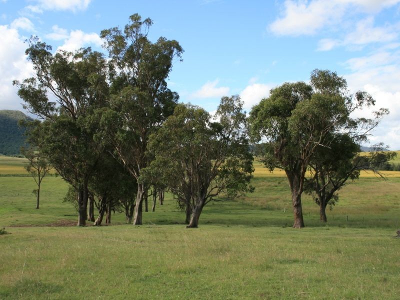 Lot 3 Yangan Road Yangan via, Warwick QLD 4370