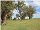 Lot 3 Yangan Road Yangan via, Warwick QLD 4370