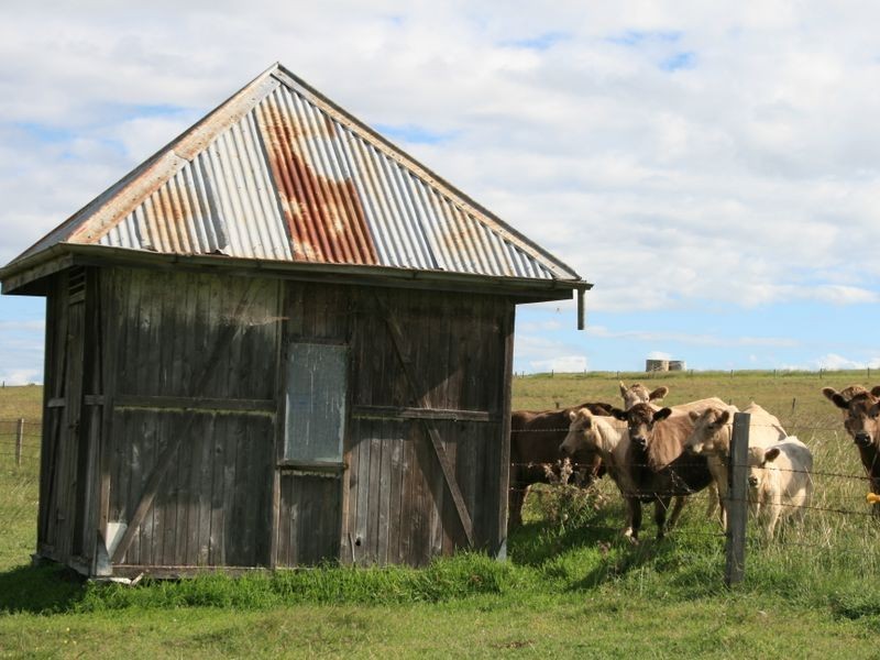 Lot 3 Yangan Road Yangan via, Warwick QLD 4370