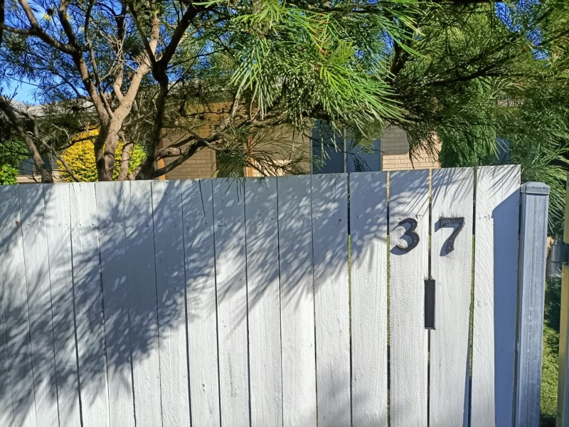 37 Lyons Street, Warwick QLD 4370