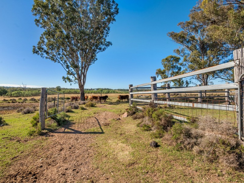 105 Ford Road, Rosenthal Heights QLD 4370