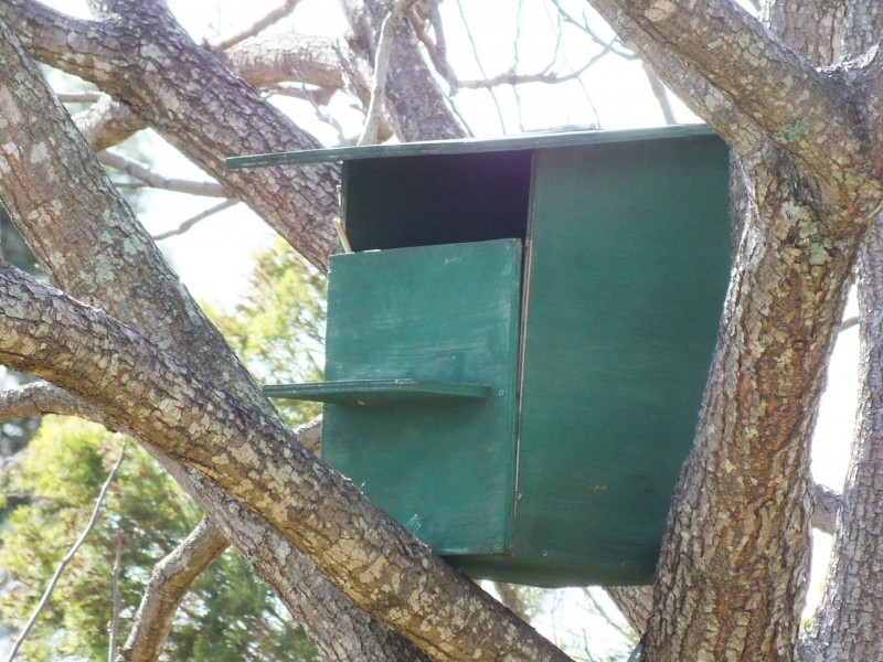 187 Pratten Street, Warwick QLD 4370