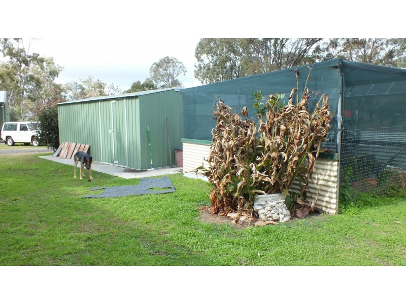 41 Lester Street, Pratten QLD 4370