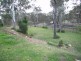 41 Lester Street, Pratten QLD 4370