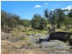 Lot 1 Stanthorpe Inglewood Road, Stanthorpe QLD 4380