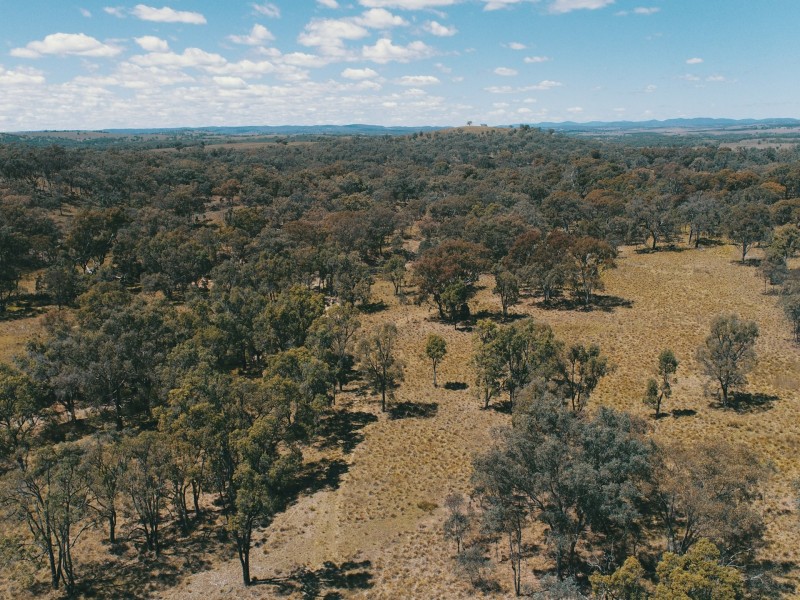 Lot 1 Stanthorpe Inglewood Road, Stanthorpe QLD 4380