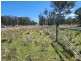 Lot 1 Stanthorpe Inglewood Road, Stanthorpe QLD 4380