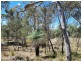 Lot 1 Stanthorpe Inglewood Road, Stanthorpe QLD 4380