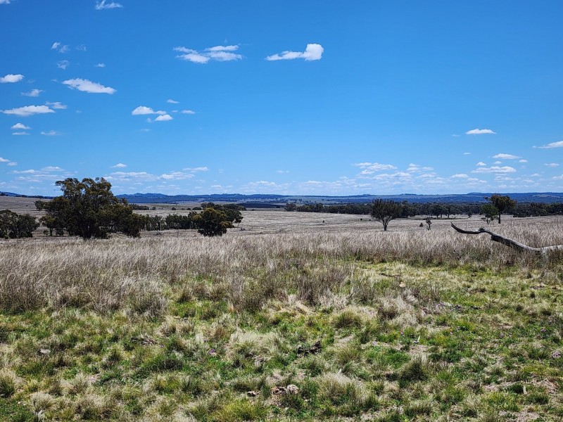 Lot 11 Pikedale Lane, Stanthorpe QLD 4380