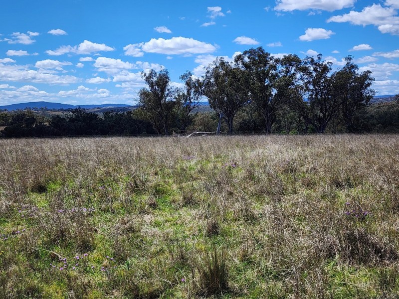 Lot 11 Pikedale Lane, Stanthorpe QLD 4380