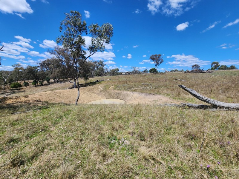 Lot 11 Pikedale Lane, Stanthorpe QLD 4380