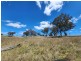 Lot 11 Pikedale Lane, Stanthorpe QLD 4380