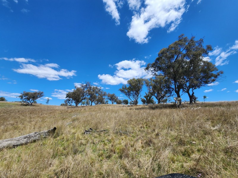 Lot 11 Pikedale Lane, Stanthorpe QLD 4380