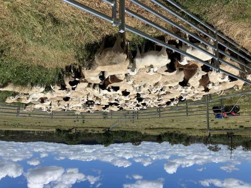 547 Glen Road, Rosenthal Heights QLD 4370