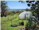2316 Leyburn Cunningham Road, Pratten QLD 4370
