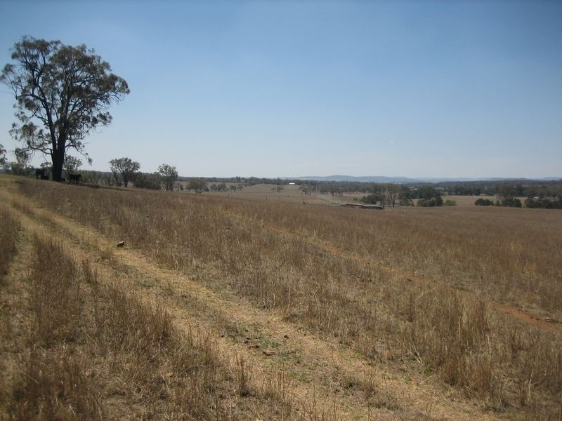 Warwick QLD 4370