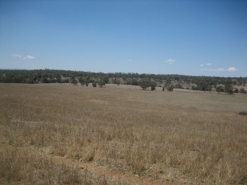 Warwick QLD 4370
