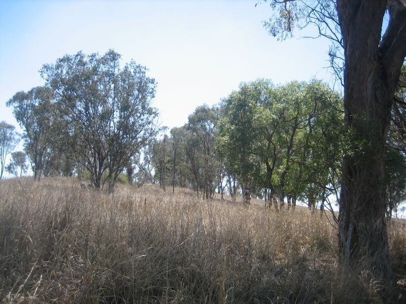 Warwick QLD 4370