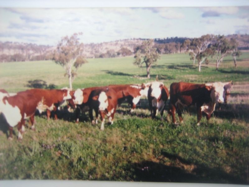 Warwick QLD 4370