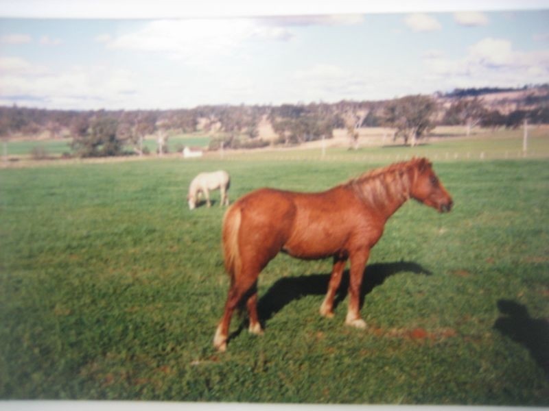 Warwick QLD 4370