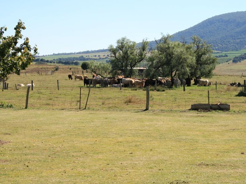 Warwick QLD 4370