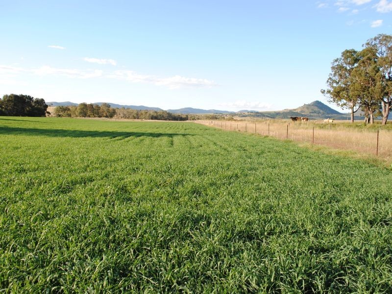 Warwick QLD 4370