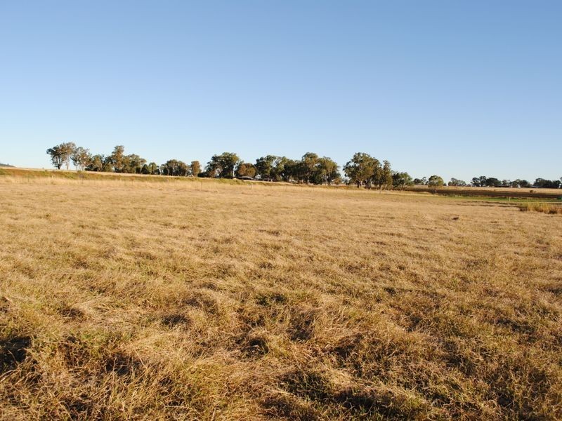 Warwick QLD 4370