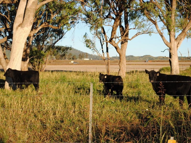 Warwick QLD 4370